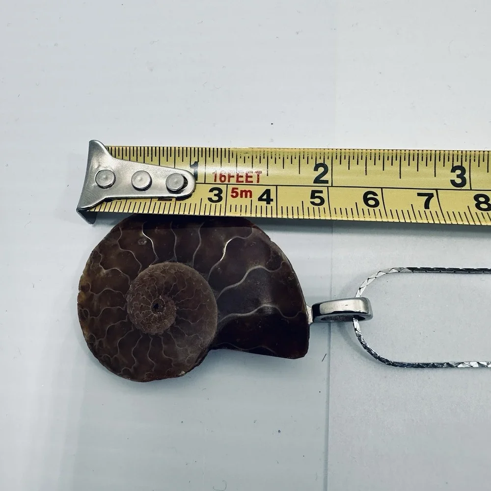 Ammonite Lg Fossil Pendant Necklace Brown Nautilus Shell Slice Silver Tone 18